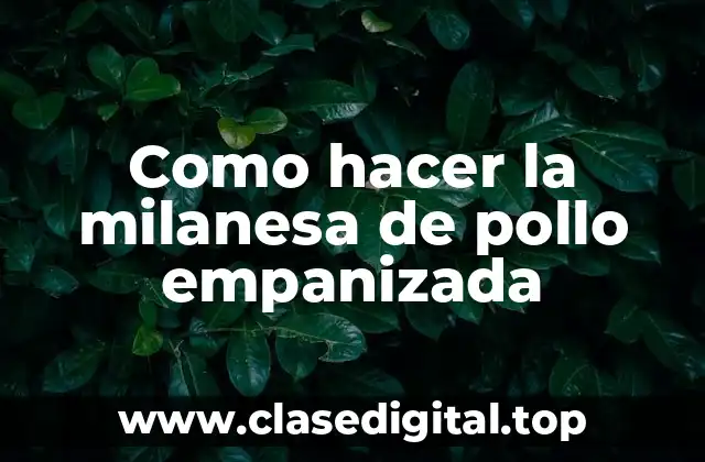 Como hacer la milanesa de pollo empanizada