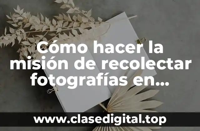 Cómo hacer la misión de recolectar fotografías en Avataria