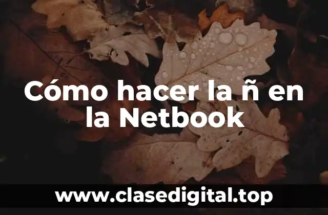 ¿Qué es la ñ y por qué es importante en la escritura?