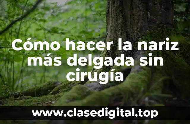 Cómo hacer la nariz más delgada sin cirugía