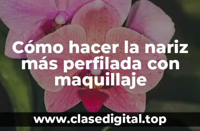 Cómo hacer la nariz más perfilada con maquillaje