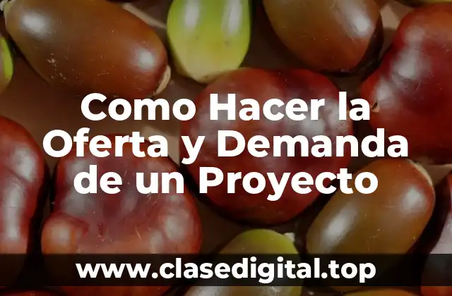 Como Hacer la Oferta y Demanda de un Proyecto
