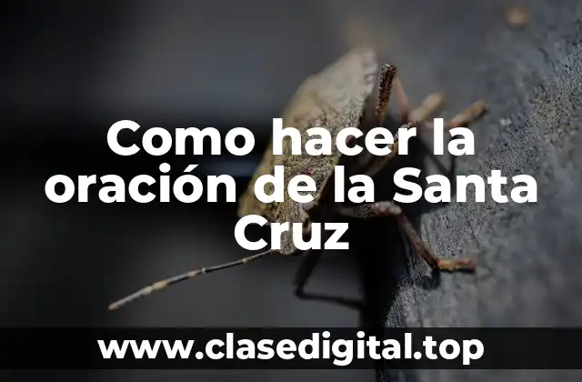 Como hacer la oración de la Santa Cruz