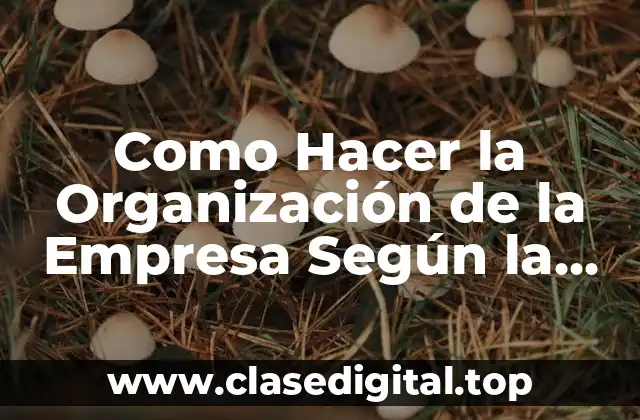Como Hacer la Organización de la Empresa Según la Demanda