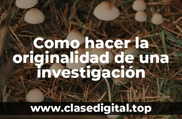 Como hacer la originalidad de una investigación