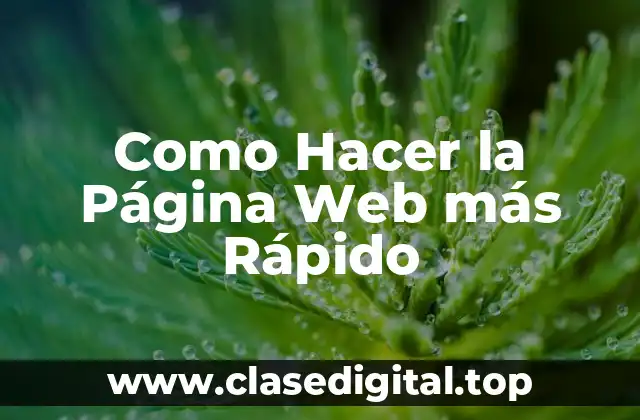 Como Hacer la Página Web más Rápido