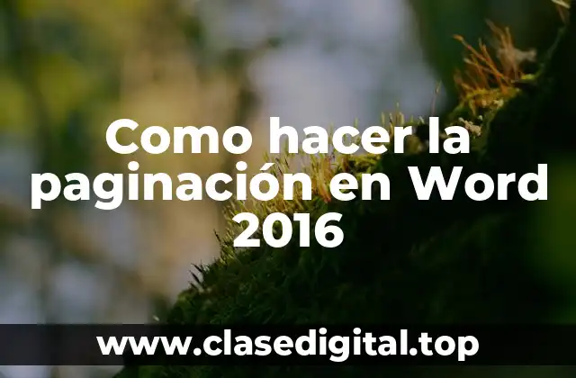 Como hacer la paginación en Word 2016