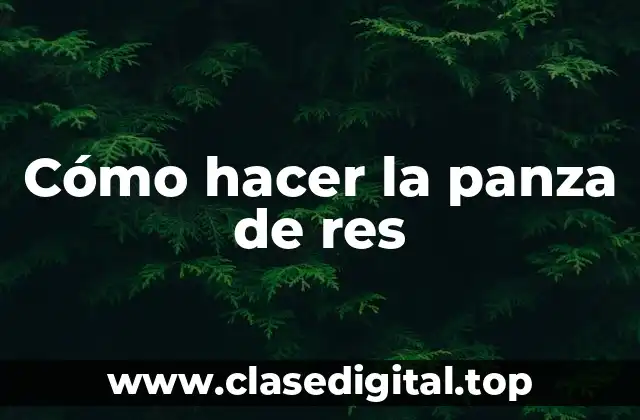 Cómo hacer la panza de res