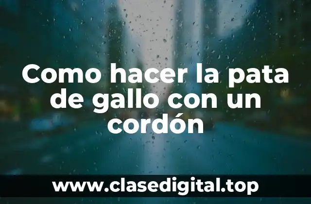 Como hacer la pata de gallo con un cordón