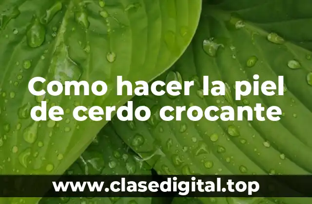 ¿Qué es la piel de cerdo crocante y para qué sirve?