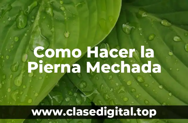 Como Hacer la Pierna Mechada