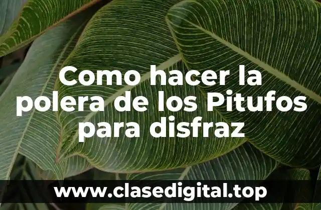 La polera de los Pitufos: definición y características