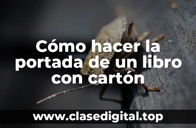 Cómo hacer la portada de un libro con cartón