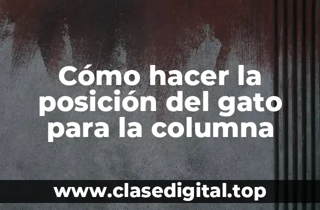 Cómo hacer la posición del gato para la columna