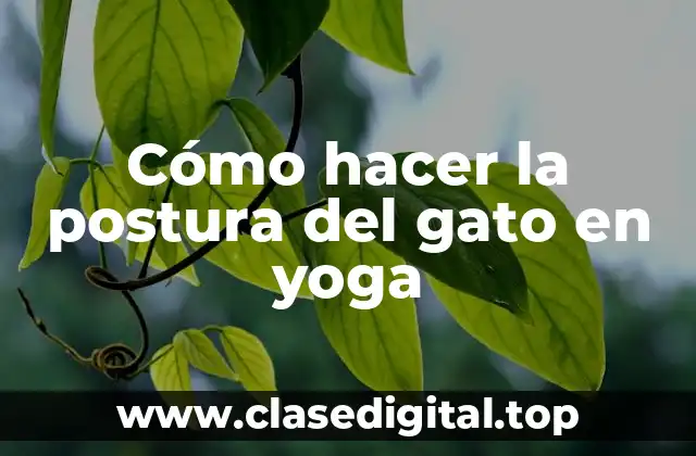 Cómo hacer la postura del gato en yoga