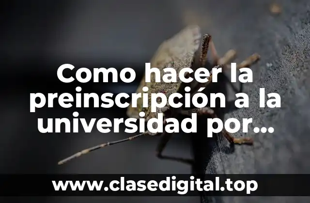 Como hacer la preinscripción a la universidad por internet