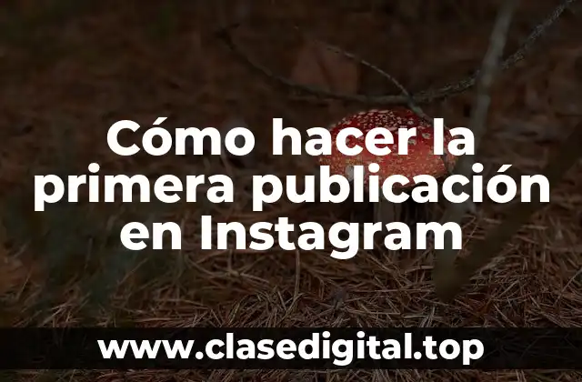 Cómo hacer la primera publicación en Instagram
