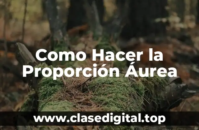 Como Hacer la Proporción Áurea