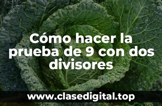 Cómo hacer la prueba de 9 con dos divisores