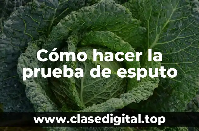 Cómo hacer la prueba de esputo