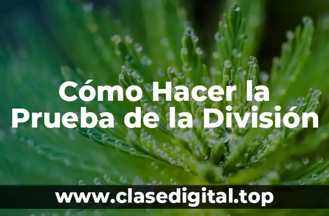 Cómo Hacer la Prueba de la División