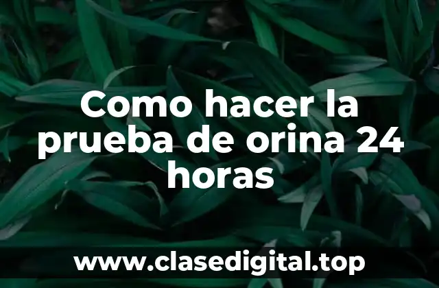 Como hacer la prueba de orina 24 horas