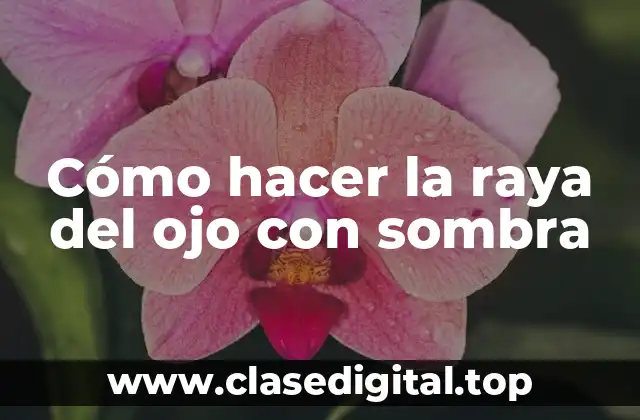 Cómo hacer la raya del ojo con sombra