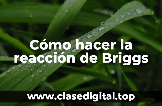 Cómo hacer la reacción de Briggs