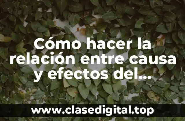 Cómo hacer la relación entre causa y efectos del problema