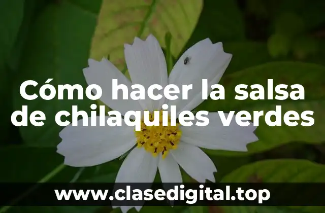 Cómo hacer la salsa de chilaquiles verdes