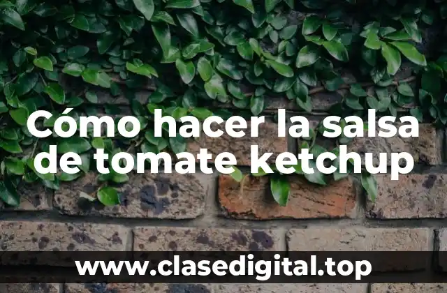 ¿Qué es la salsa de tomate ketchup y para qué sirve?