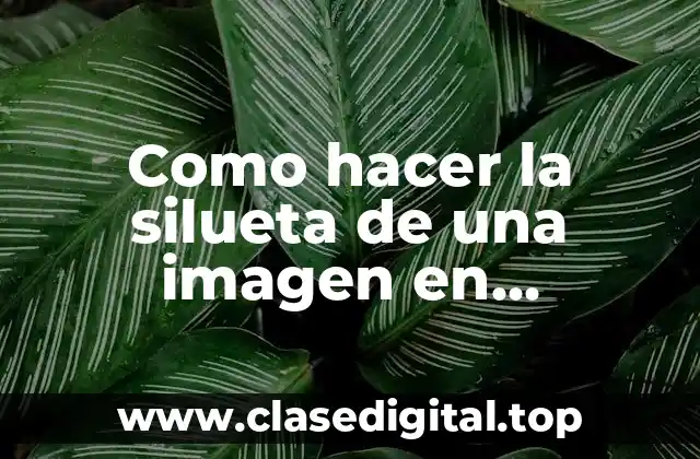 Como hacer la silueta de una imagen en Photoshop CS5