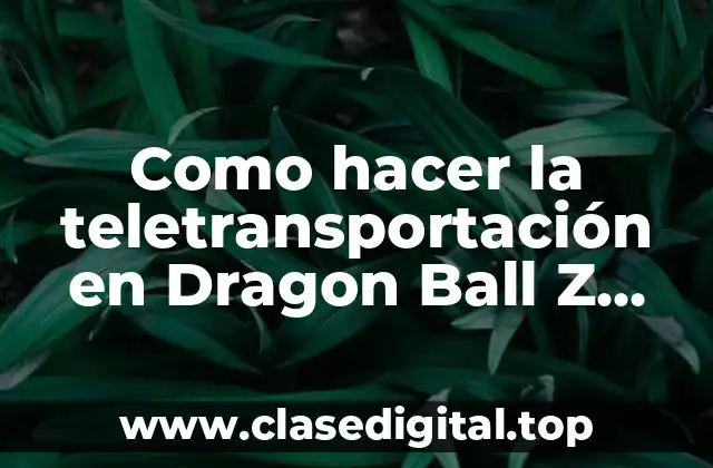 Como hacer la teletransportación en Dragon Ball Z Shin Budokai