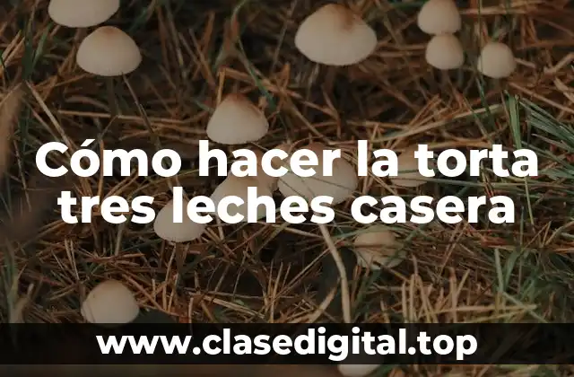 ¿Qué es la torta tres leches casera?