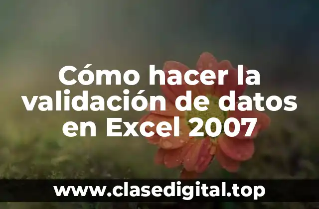 Cómo hacer la validación de datos en Excel 2007
