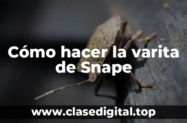 Cómo hacer la varita de Snape