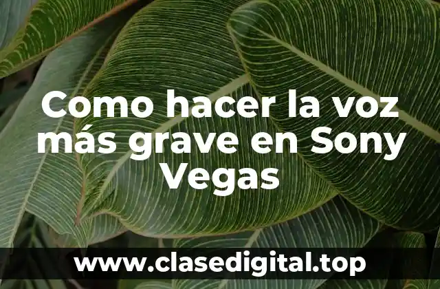 ¿Qué es la modulación de voz y cómo se usa en Sony Vegas?