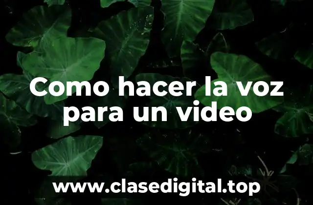 Como hacer la voz para un video