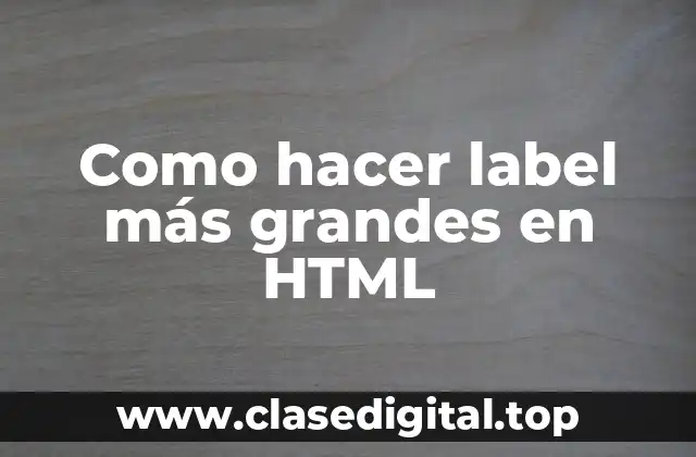 Como hacer label más grandes en HTML