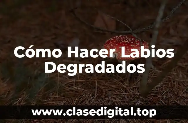 Cómo Hacer Labios Degradados