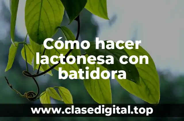 Cómo hacer lactonesa con batidora