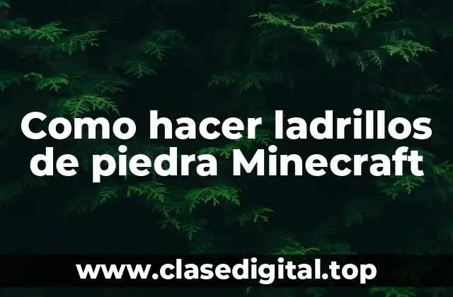 ¿Qué son los ladrillos de piedra en Minecraft?