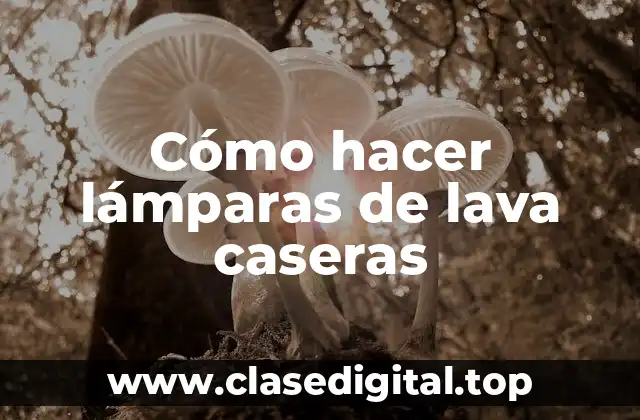 Cómo hacer lámparas de lava caseras