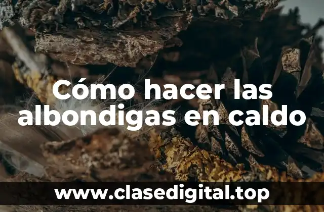 Cómo hacer las albondigas en caldo