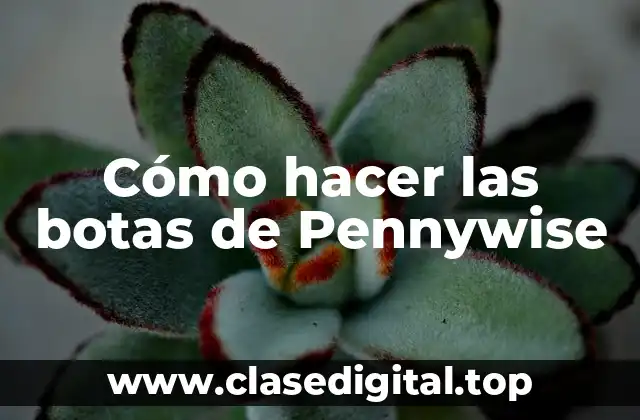 ¿Qué son las botas de Pennywise?