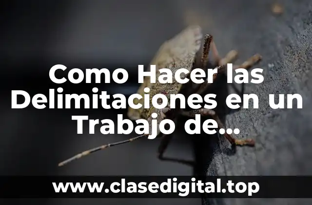 Como Hacer las Delimitaciones en un Trabajo de Investigación