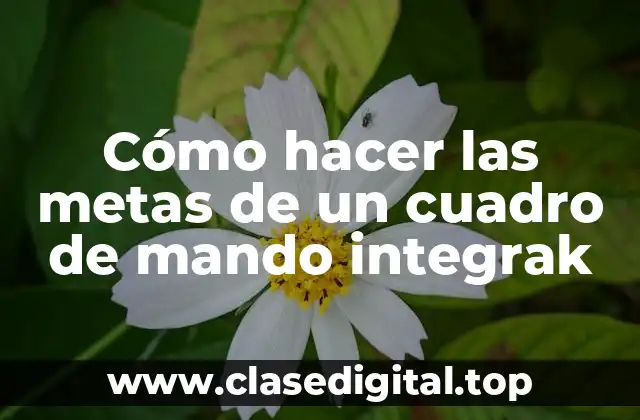 Definición y función de las metas en un cuadro de mando integrak