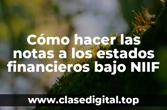 Cómo hacer las notas a los estados financieros bajo NIIF