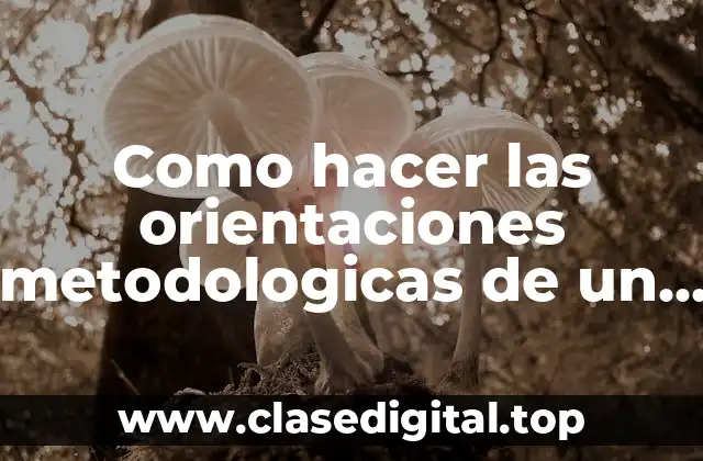 Como hacer las orientaciones metodologicas de un plan de clase