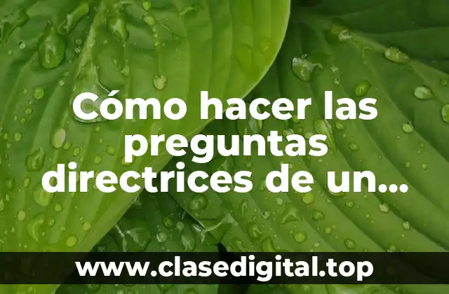 Cómo hacer las preguntas directrices de un proyecto